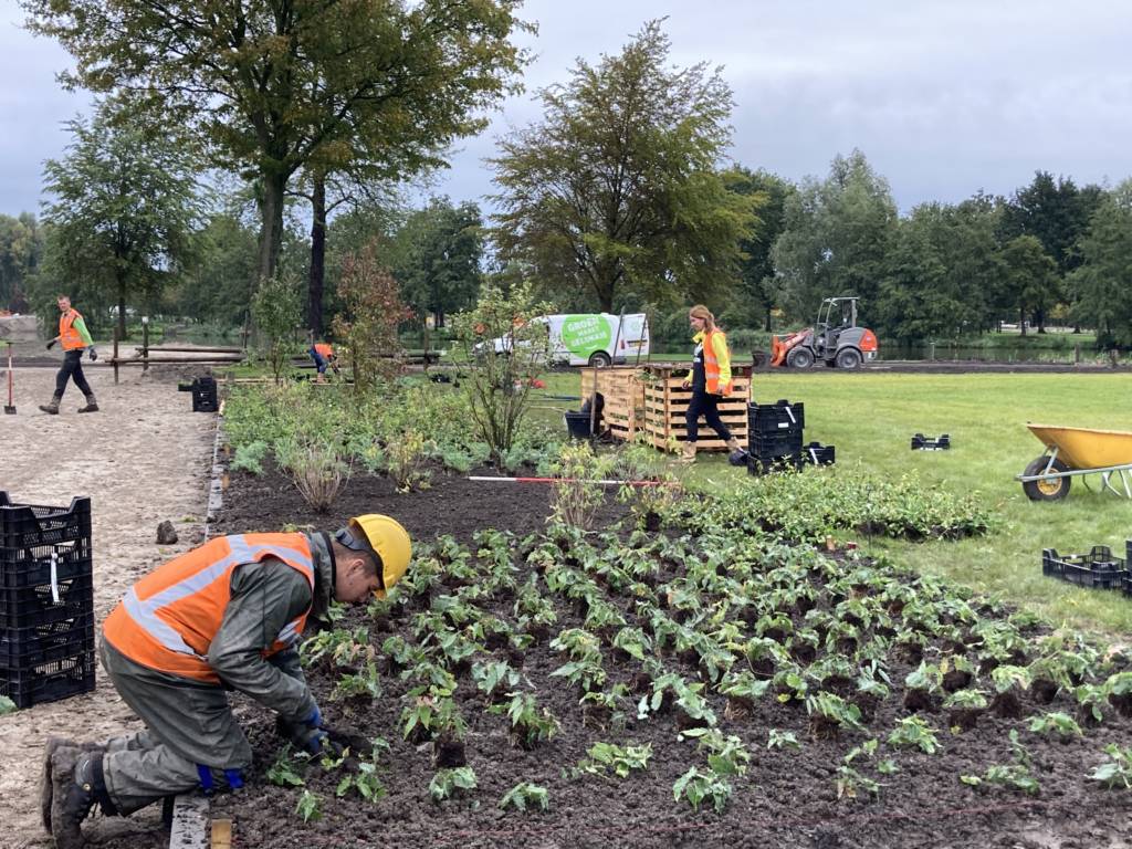 Case studies: Almere - Green City Arboretum planting underway