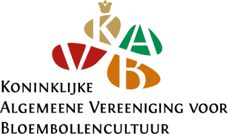 KAVB Logo