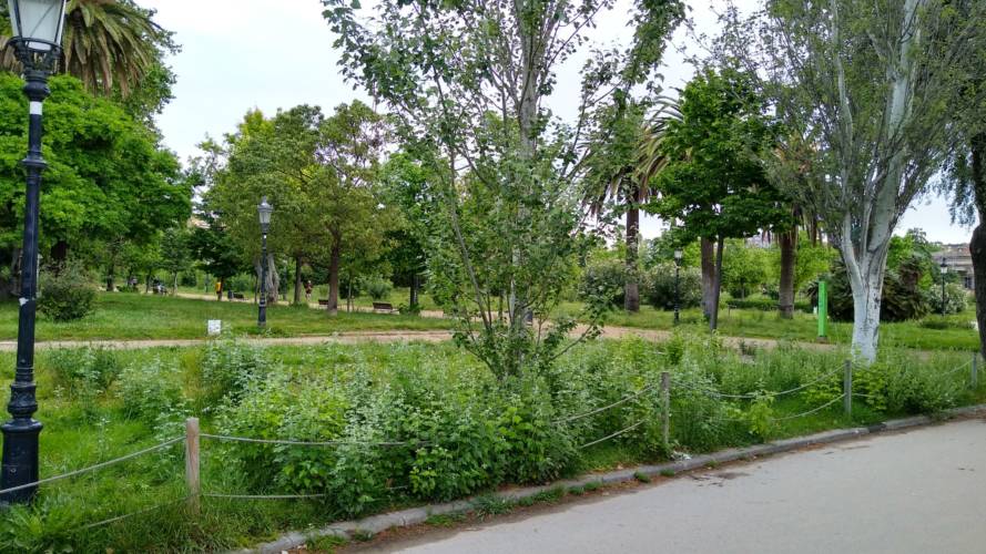 Reduced use of herbicides in Ciutadella Park, Barcelona