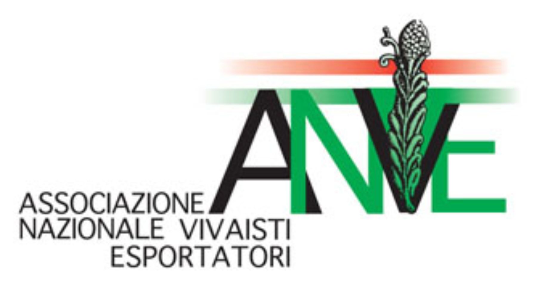 ANVE Logo