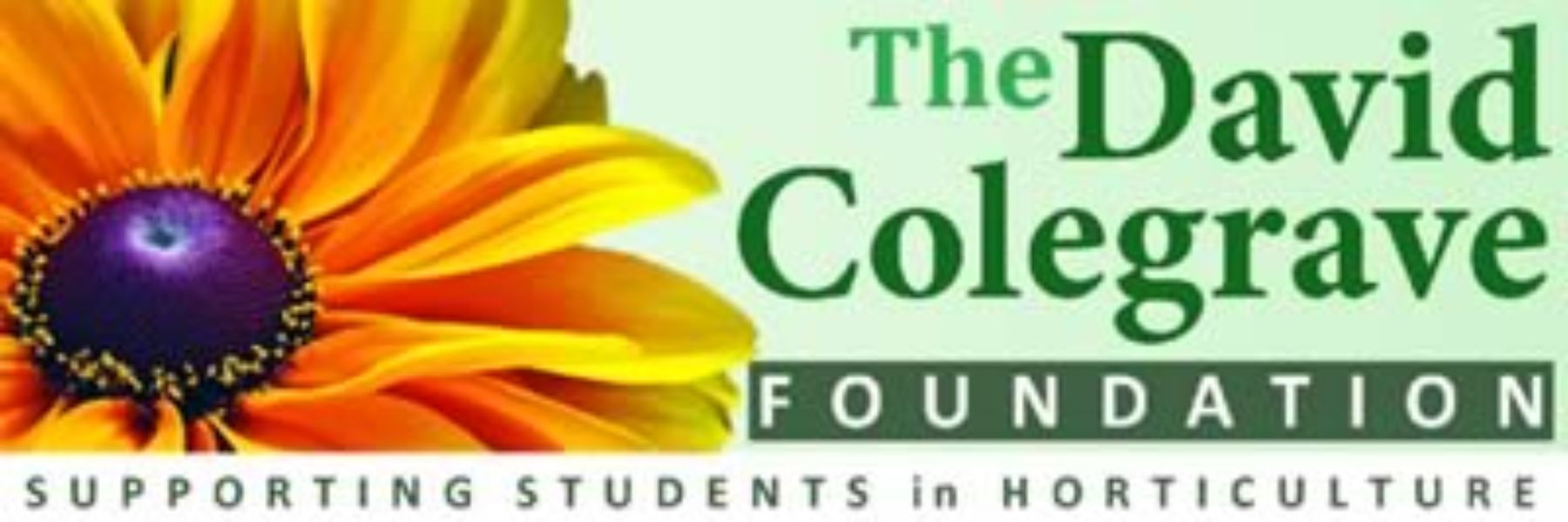 David Colgrave Foundation Logo