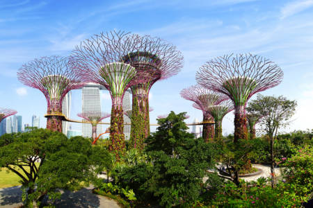 The Supertree Grove at Gardens by the Bay.