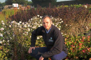 Jonathan Whittemore, Head of Production and Procurement at Johnsons of Whixley, a wholesale plant nursery based in Kirk Hammerton, Whixley (near York), North Yorkshire,