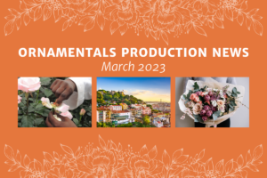 Ornamentals Production News March 2023