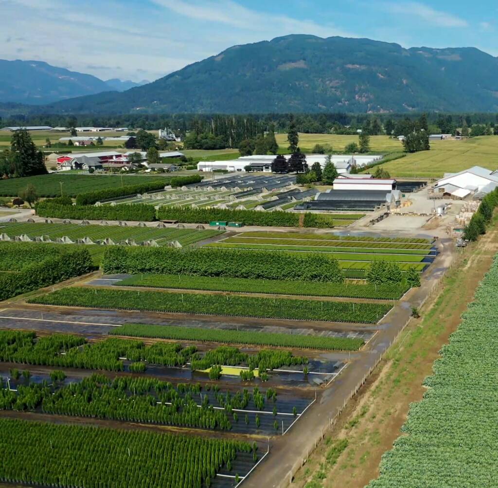 The breathtaking view of Brookdale Treeland Nurseries’ farm in Chilliwack, British Columbia, Canada.