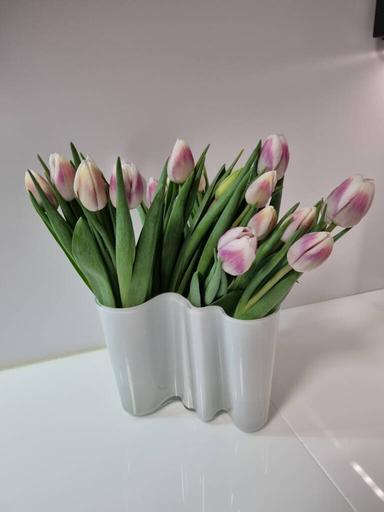 Alvar Aato’s iconic Savoy vase offers room for two bouquets of tulips.