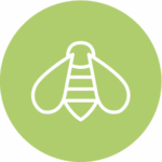 Biodiversity