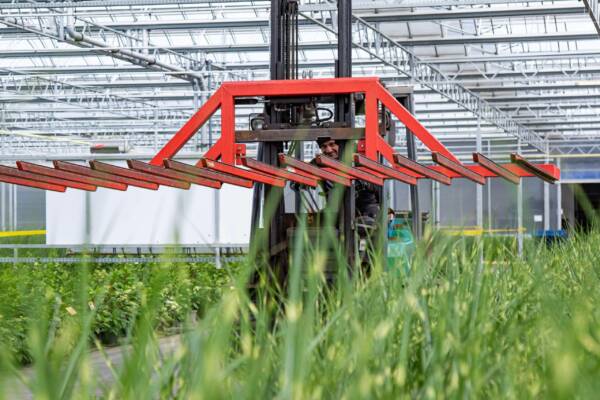 Plant Select's Nursery