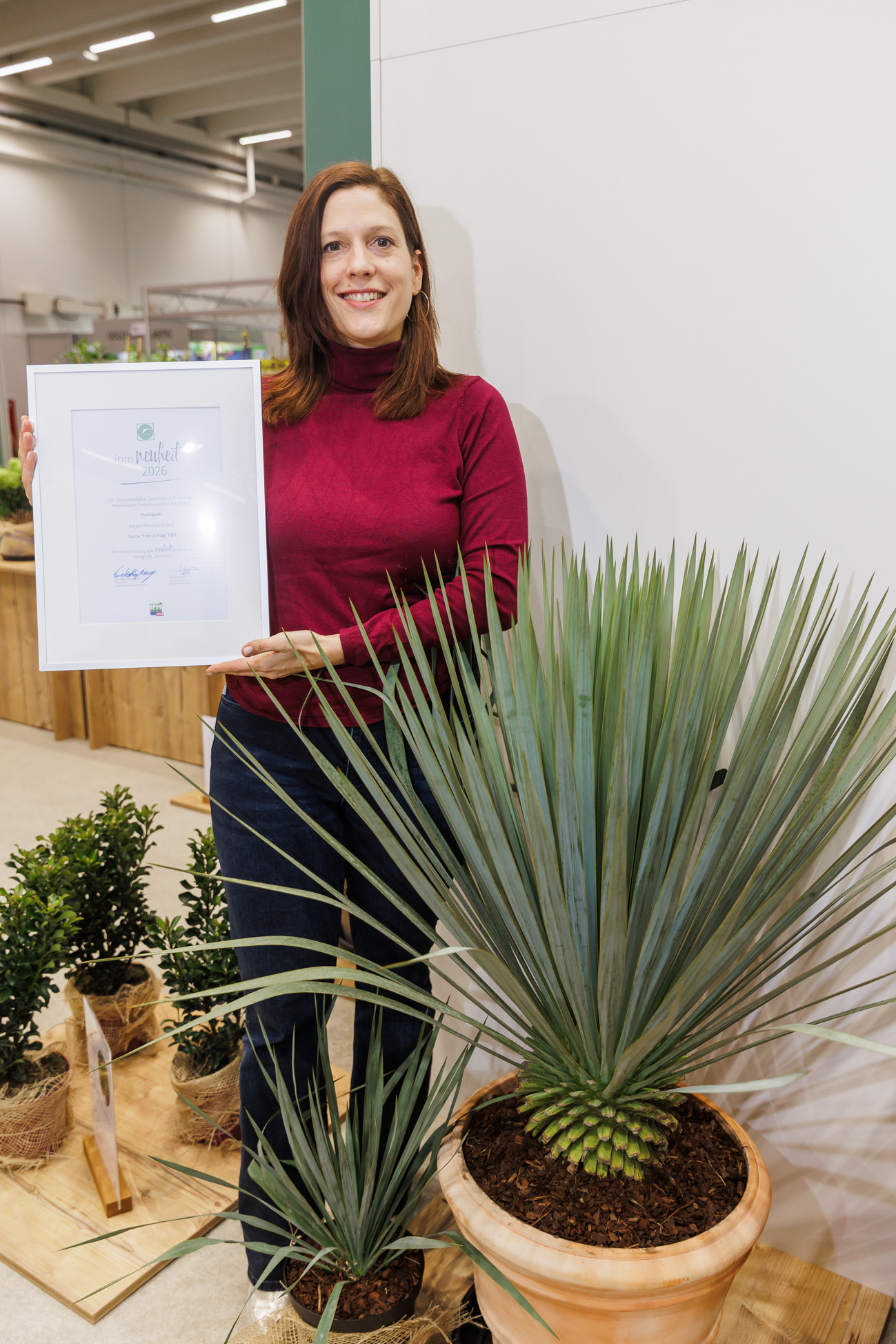 The winner in the "Perennials" category is Plantipp BV from IJsselstein, Netherlands, pictured here with Kim van Rijssen, with their new Yucca 'French Flag' PBR. This drought-resistant yucca is ideal for Mediterranean gardens, displays pollinator-friendly white flower clusters in May and June, and is perfectly equipped for climate change.