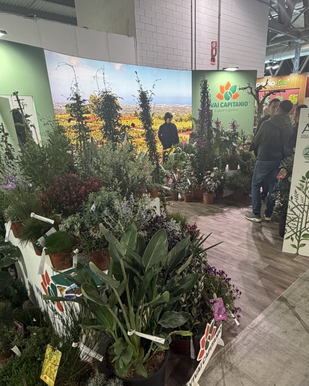 Exhibition stand displaying a diverse range of cut flowers at Myplant & Garden 2026.