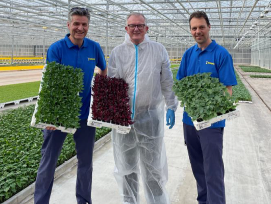 Beekenkamp team presenting reusable BKX trays in greenhouse.