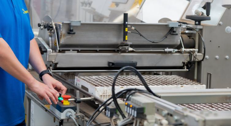 BKX reusable horticulture trays moving through automated potting line.