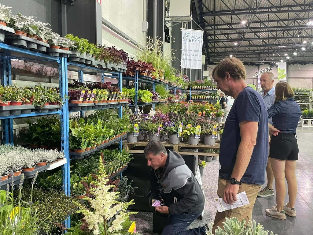 Potted perennials and ornamental plants displayed on shelving at Florall Belgium.