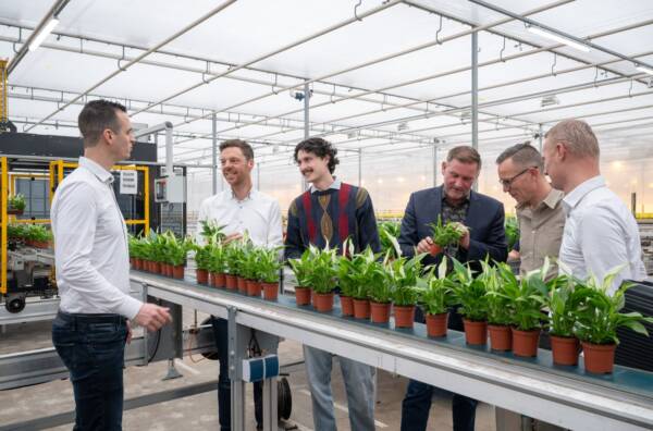 Representatives of Greenhouse Sustainability, aaff and KP Holland reviewing potted plants in a Dutch greenhouse.
