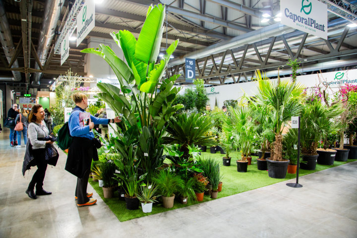 Trade stand featuring large tropical plants and potted greenery at Myplant fair.