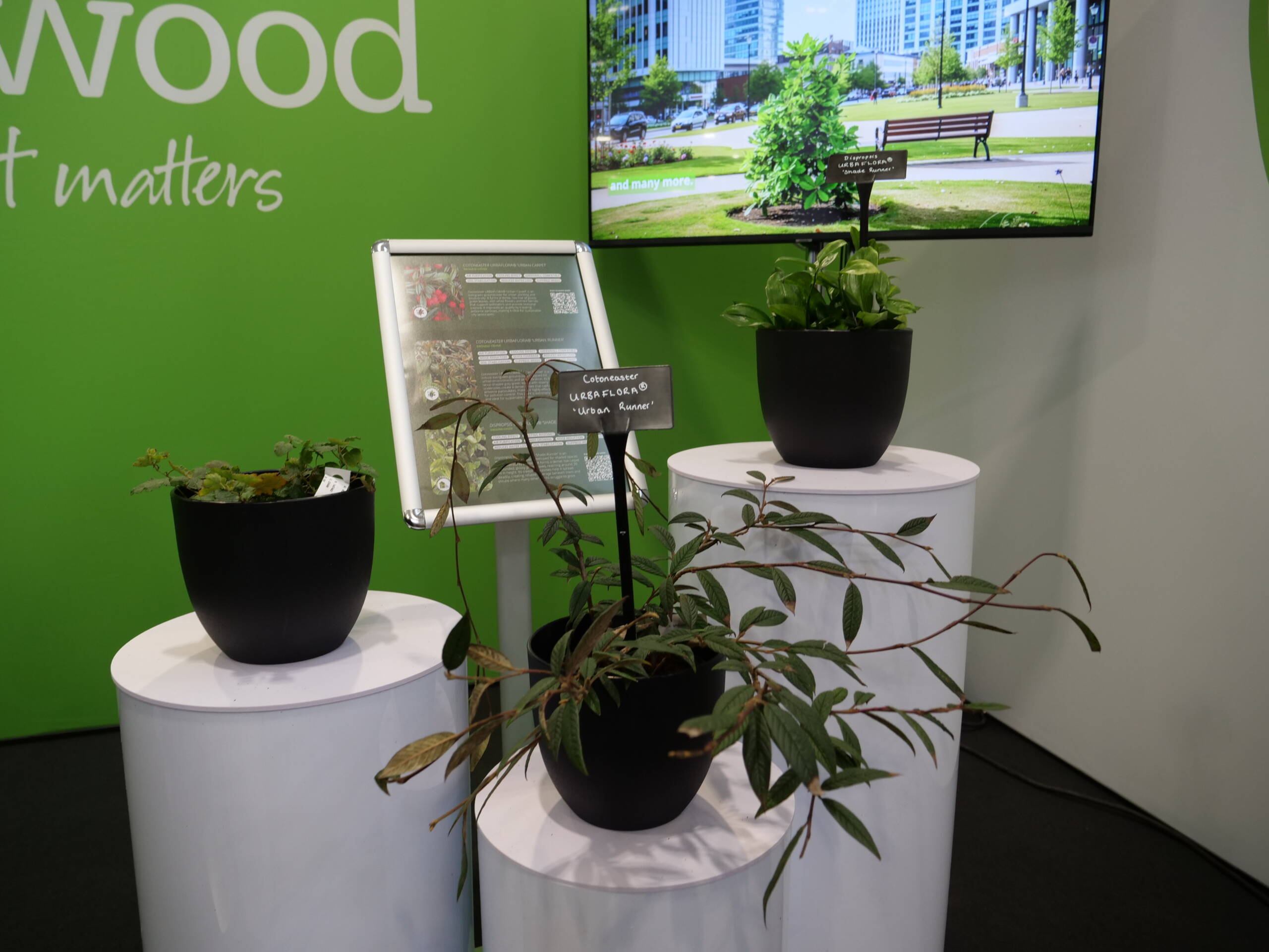 Plants selected for environmental performance, including air-quality and resilience traits, signal a shift towards functional planting criteria beyond pure aesthetics.