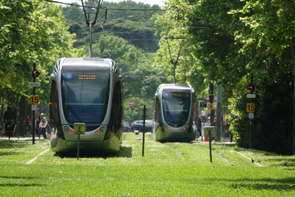 Modern tram operating along grass-covered tracks in a tree-lined urban corridor in Toulouse, France.