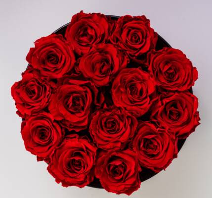 Top view of tightly arranged red rose blooms.