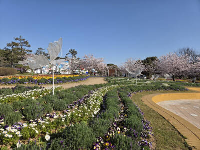 Flower beds and butterfly sculptures at Taean Expo site