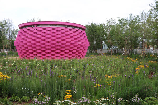 AIPH garden at Expo 2019 Beijing with naturalistic meadow planting and a pink pavilion.