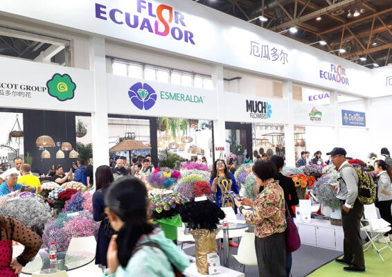 Visitors view colourful cut flower displays at international exhibitor stands at Hortiflorexpo IPM Beijing 2018.