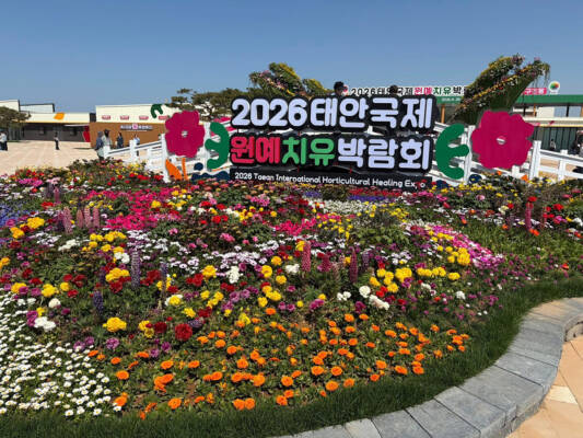 Entrance display with colourful flower beds and signage for the 2026 Taean International Horticultural-Healing Expo
