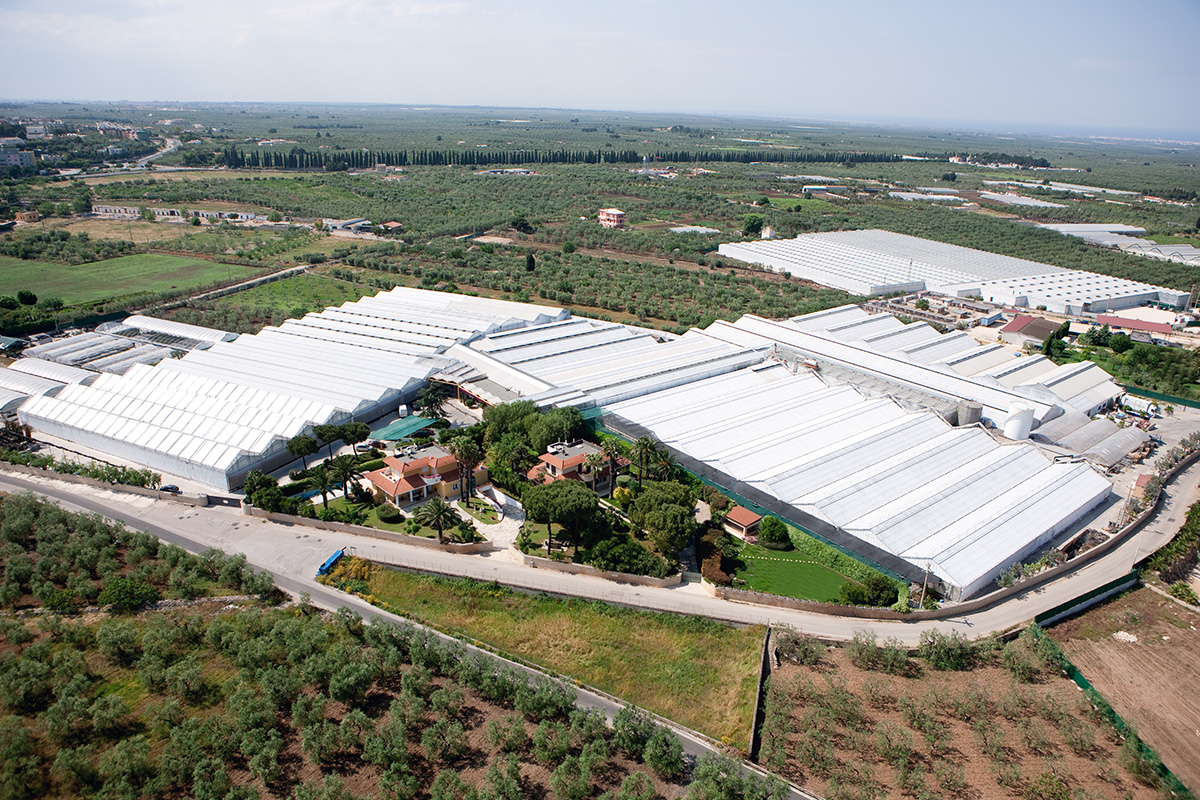 Aerial view of Florpagano’s nursery and greenhouse production site in Puglia, Italy.