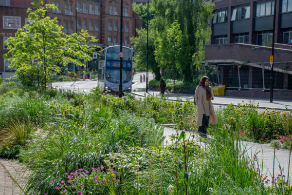 Grey to Green Corridor - Sheffield, UK