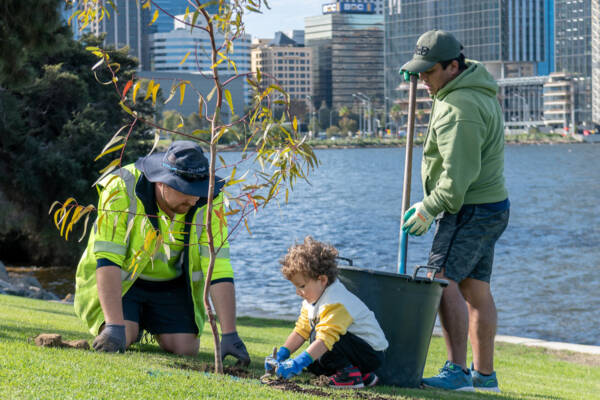Birdiya Drive Planting Day - Perth, Australia