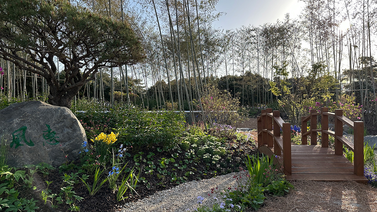 Moon-Crossing Bridge and bamboo planting in the China Garden at Taean Expo 2026.