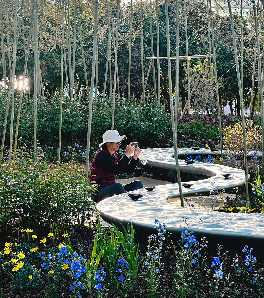Visitor photographing the winding stream installation in the China Garden.