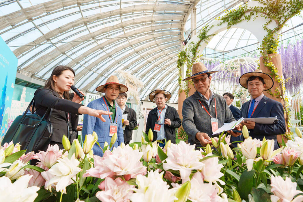 AIPH inspection team members viewing flower displays inside a horticultural exhibition greenhouse.