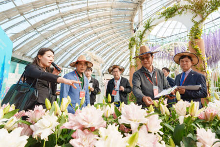 AIPH inspection team members viewing flower displays inside a horticultural exhibition greenhouse.