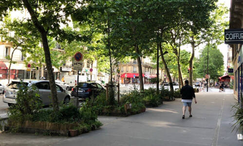 Planters with trees lining a street in Paris