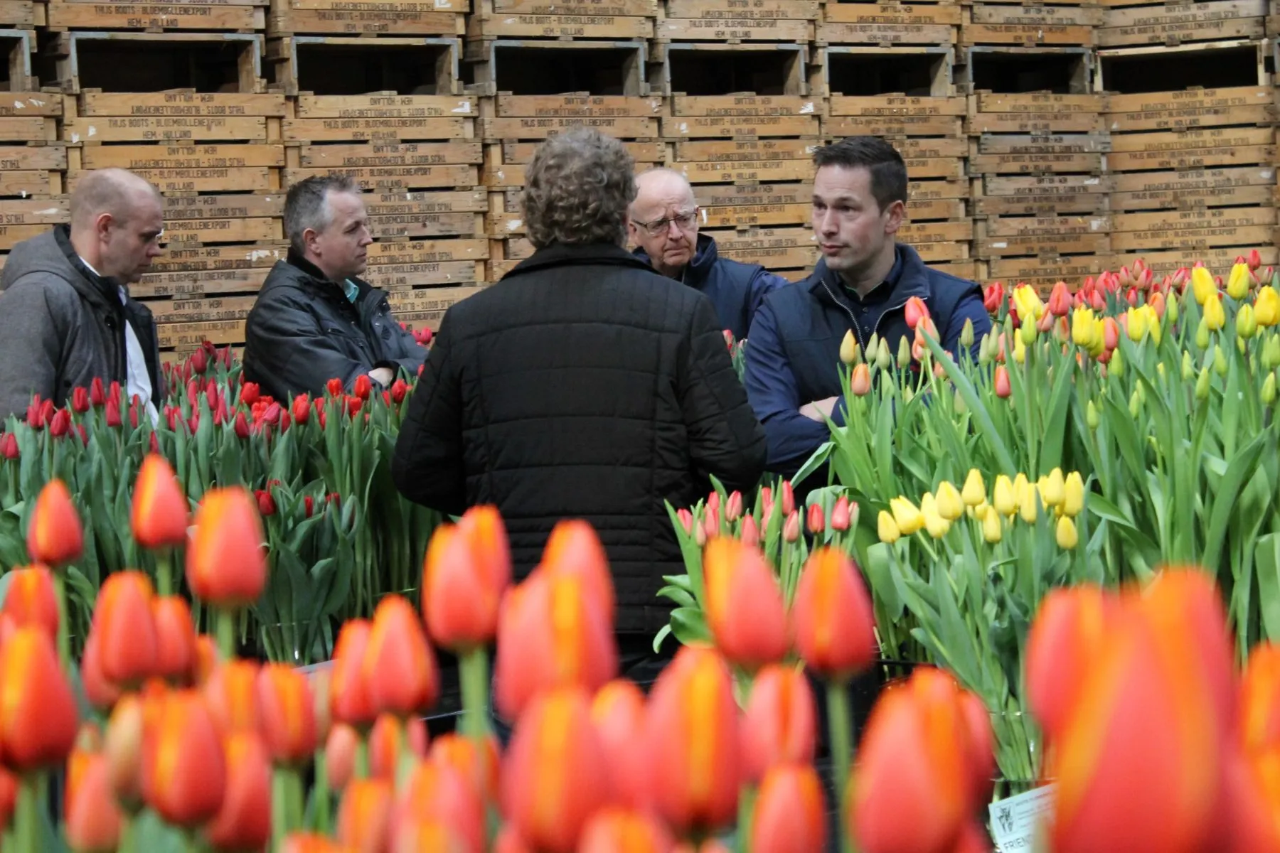 Industry professionals discussing tulip varieties during Dutch Tulip Trade Event
