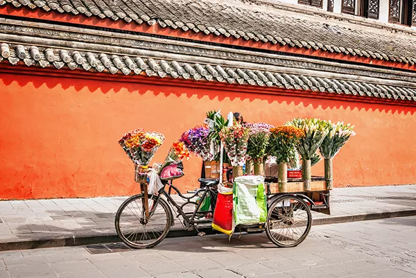 Chinese bike with flowers cargo