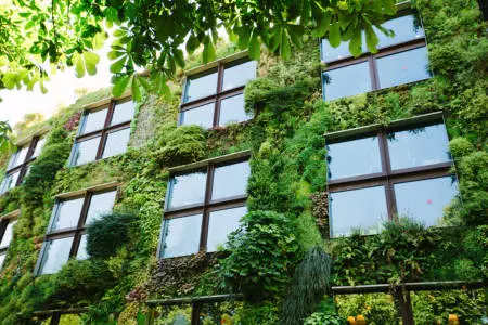 Green architecture concept. Building exterior covered with plants in modern city