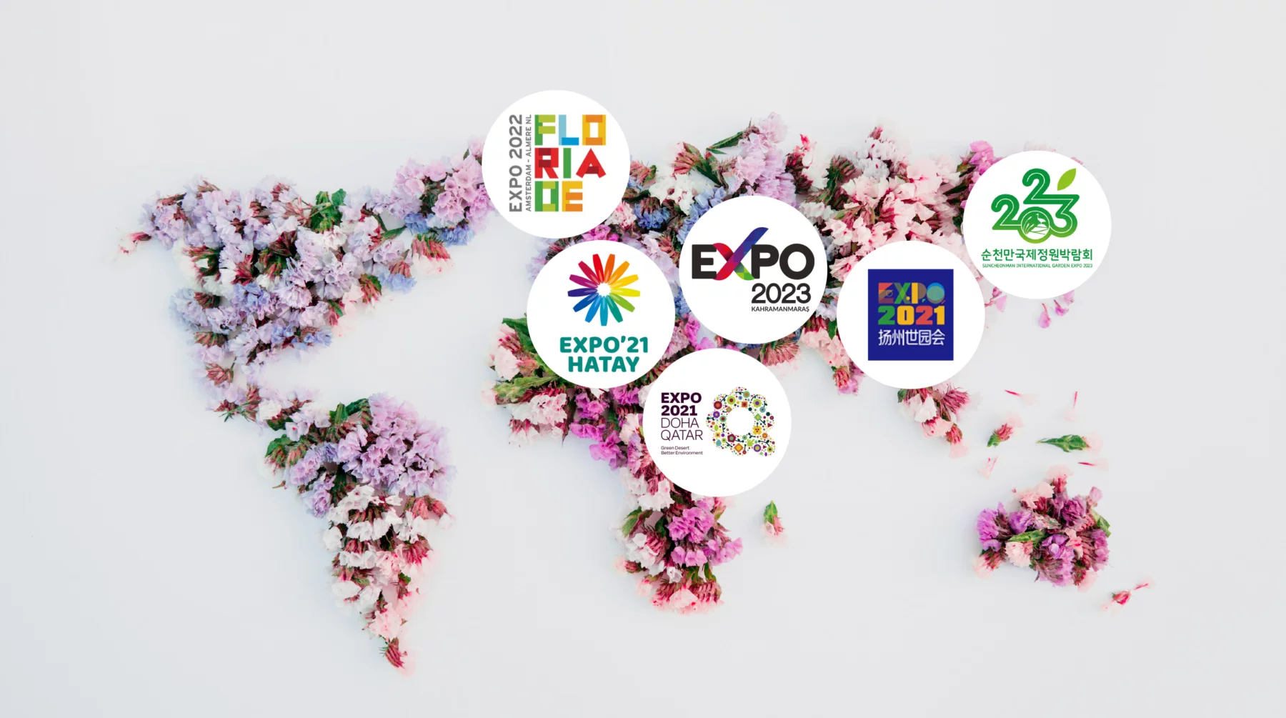 Flower auction market group