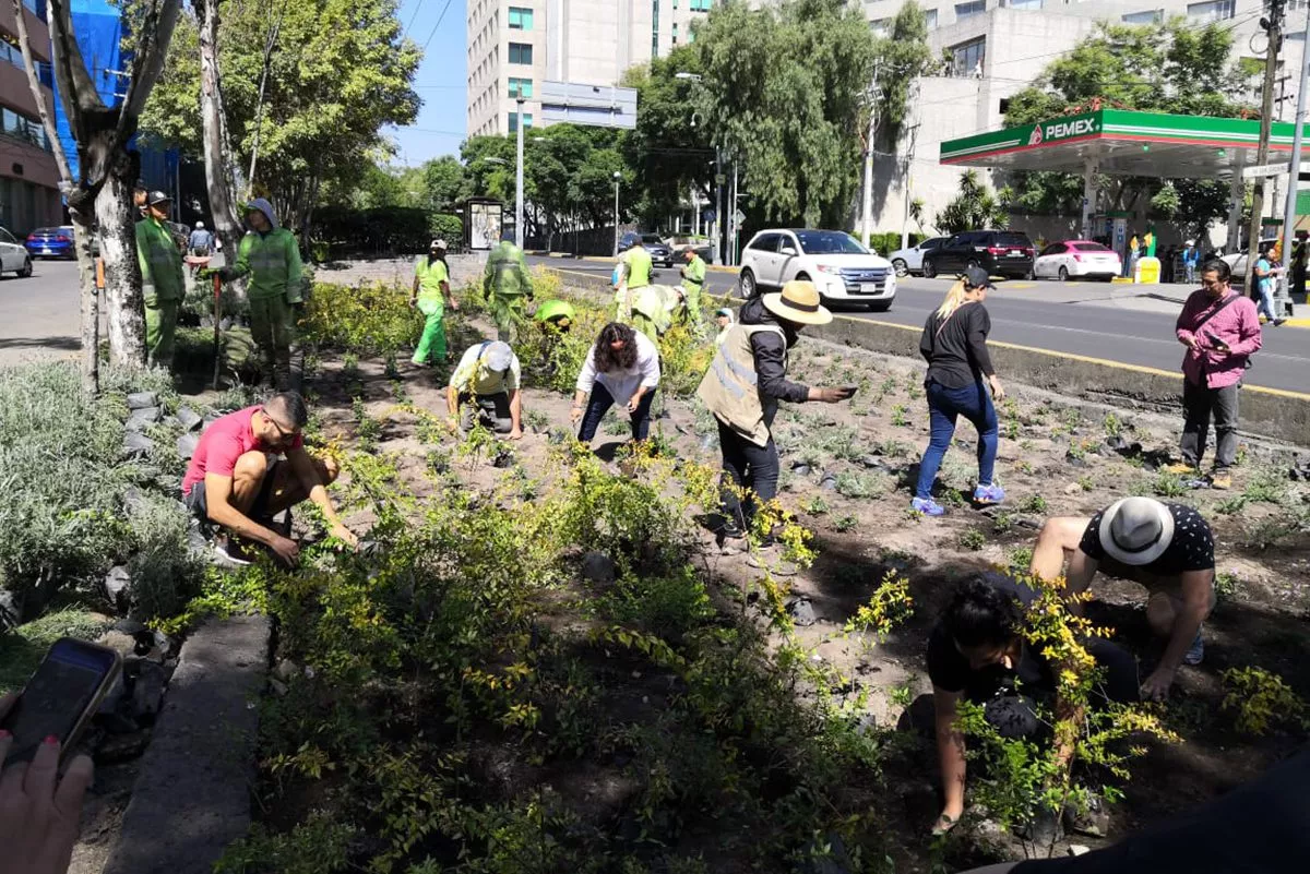 Green City Case Study: Mexico City, Mexico: Environmental and Climate ...