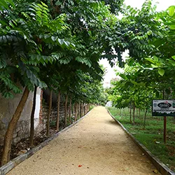 Addressing the urban challenge