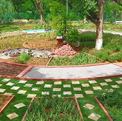 The power of plants and natural ecosystems to deliver benefits