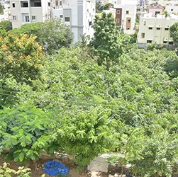 Sustainability and Resilience