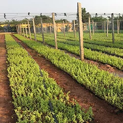 Monitoring, Maintenance, and Management