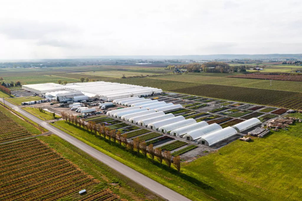 BTN’s beautiful farms in Niagara-on-the-Lake, Ontario.