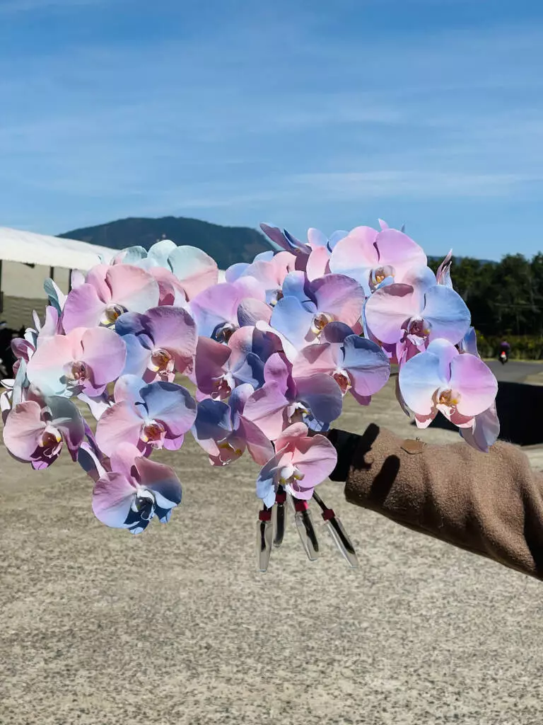 Apollo and its brand Sunpride brand offer purple and pink coloured flowers too to keep pace with changing consumer preferences.