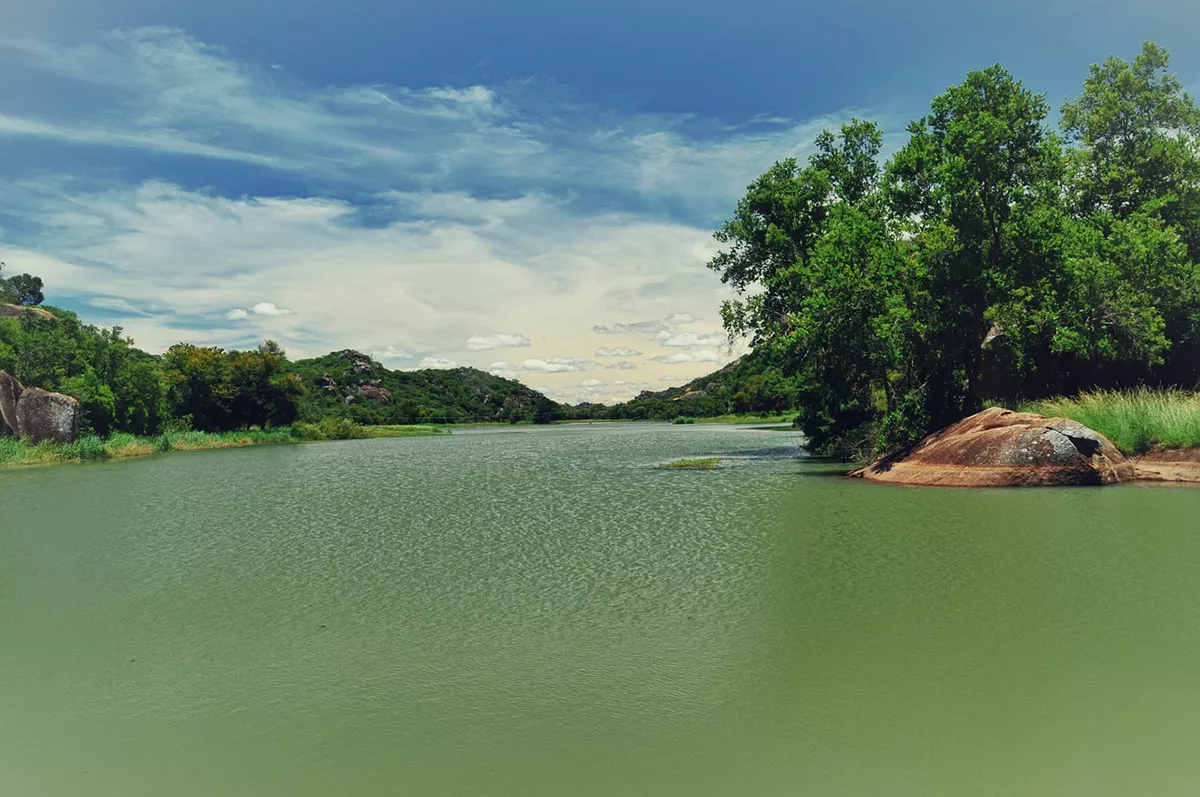 The power of plants and natural ecosystems to deliver benefits