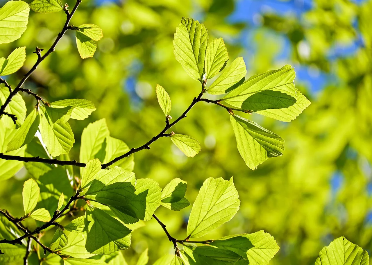 Sustainability and Resilience