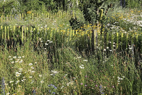 The challenges of onsite third-party tree production 