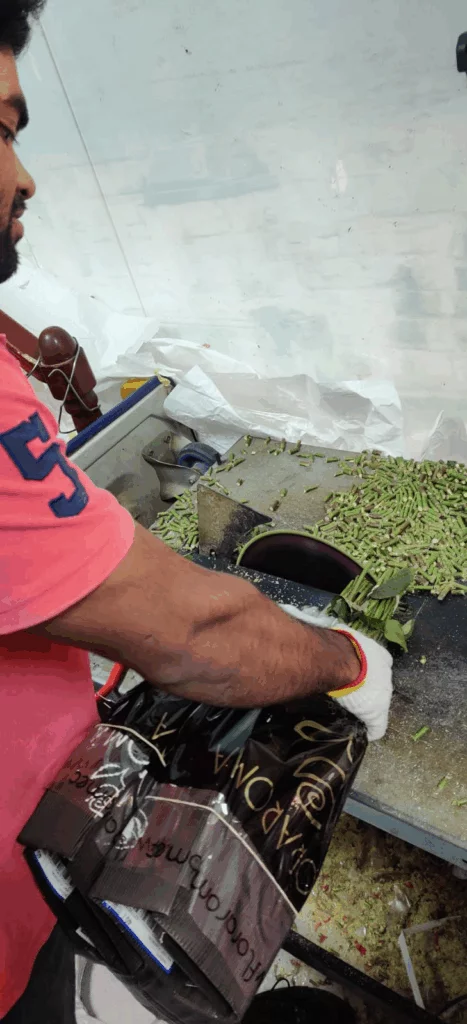 The cutting of rose stems at a sharp angle to expose fresh tissue that will readily take up flower food.