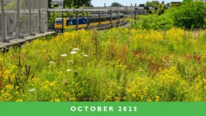 AIPH Global Green City Update - October 2025